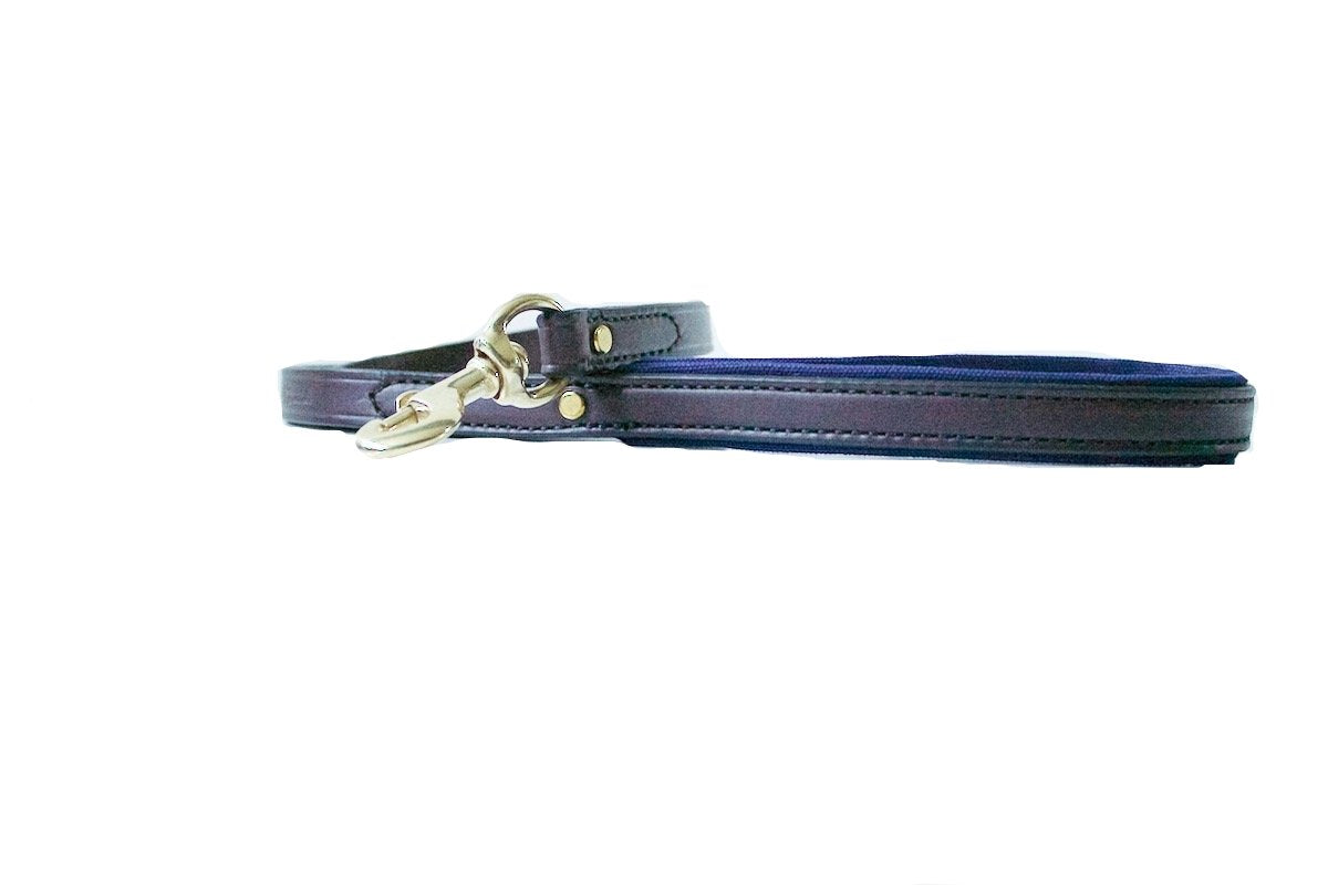 Dog Leash - Leather and Canvas - more colors available